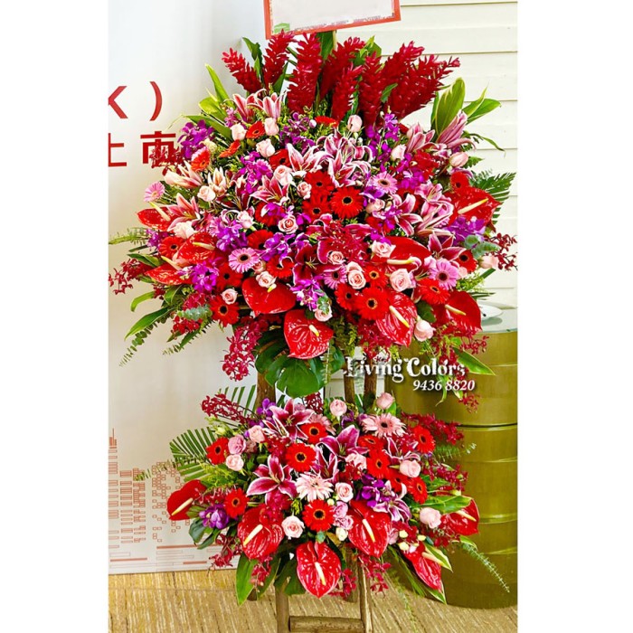 GO6699 Congratulation Flower Basket